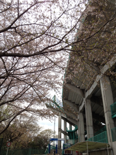 image-20120415184741.png