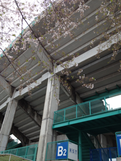 image-20120415184800.png